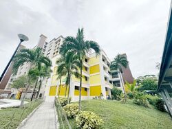 Blk 220 Tampines Street 24 (Tampines), HDB 4 Rooms #638788551